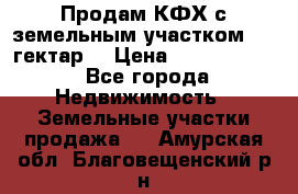 Продам КФХ с земельным участком 516 гектар. › Цена ­ 40 000 000 - Все города Недвижимость » Земельные участки продажа   . Амурская обл.,Благовещенский р-н